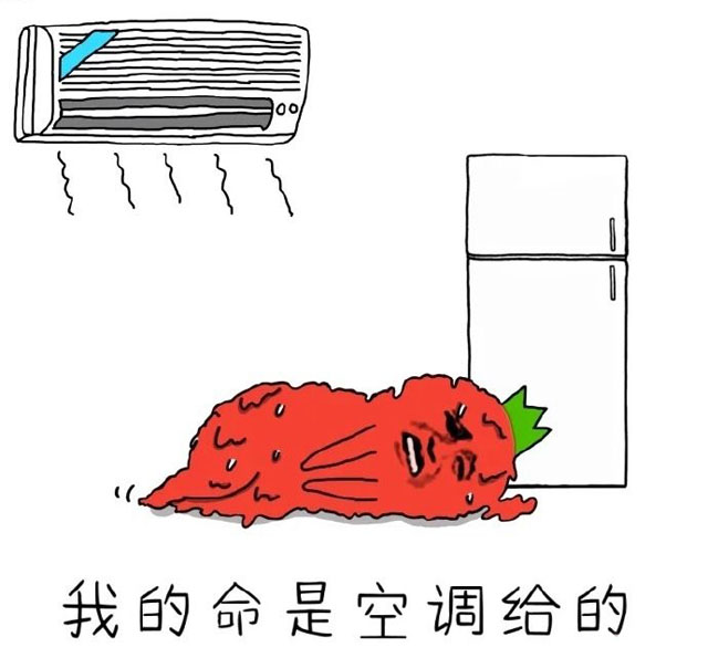 我的命是空調給的